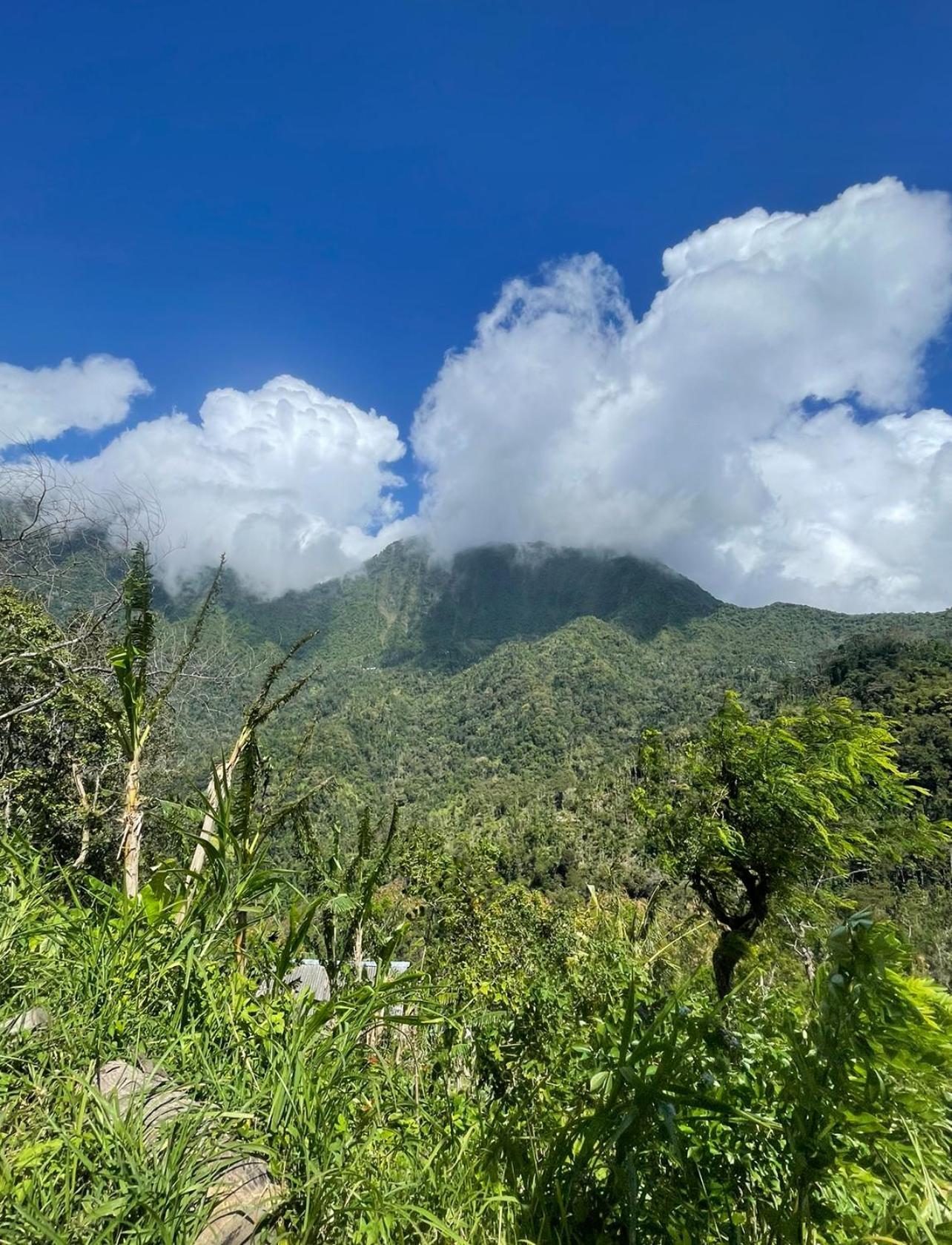 아메드 Tropical Habitat Bali 빌라 외부 사진