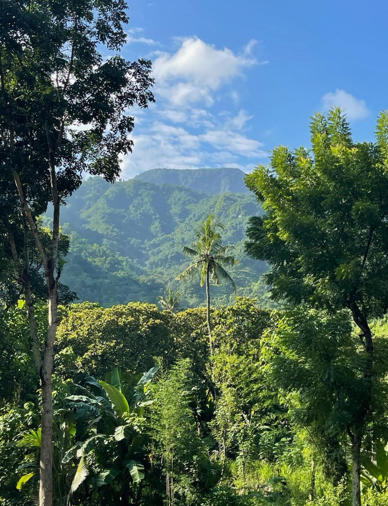 아메드 Tropical Habitat Bali 빌라 외부 사진