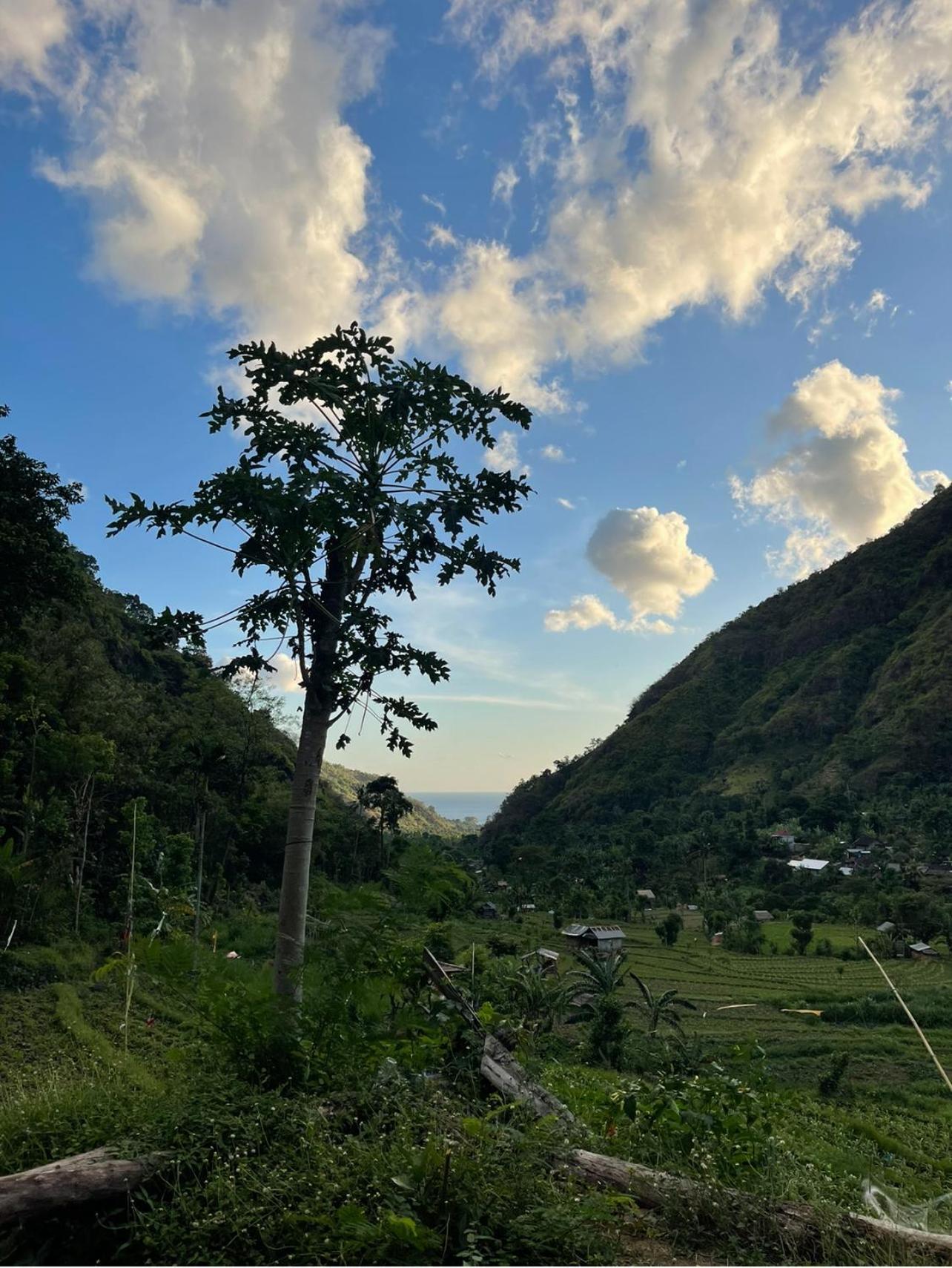아메드 Tropical Habitat Bali 빌라 외부 사진
