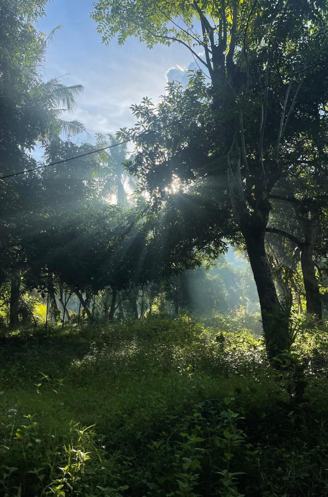 아메드 Tropical Habitat Bali 빌라 외부 사진