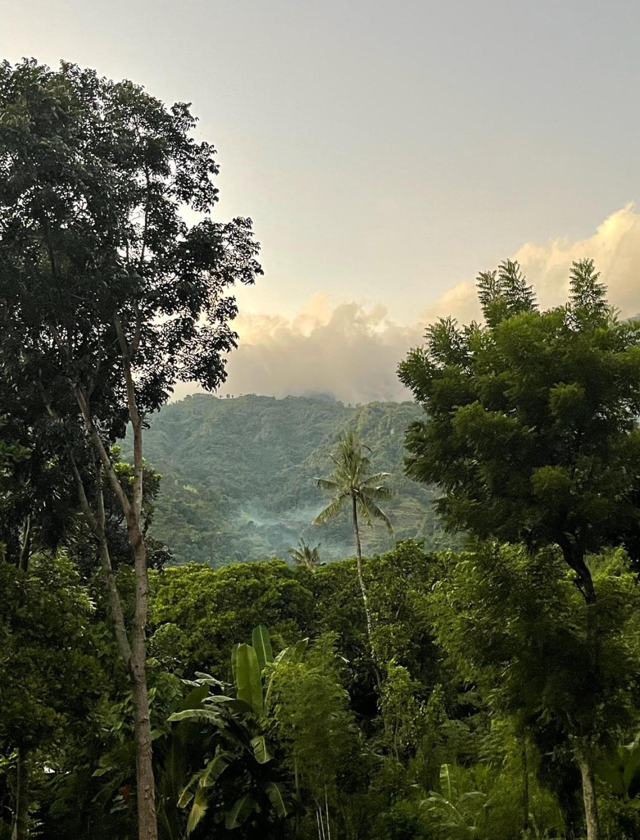 아메드 Tropical Habitat Bali 빌라 외부 사진