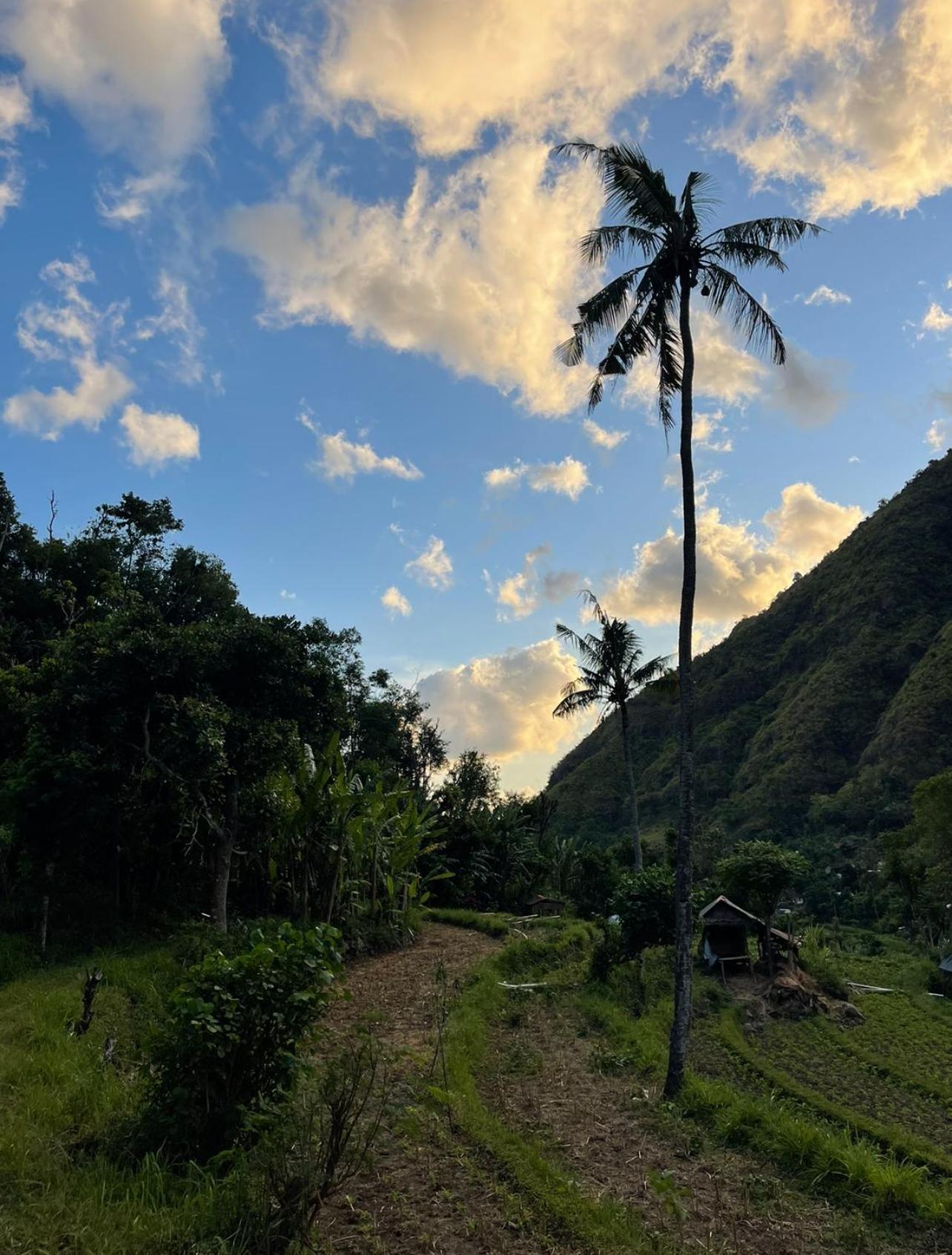 아메드 Tropical Habitat Bali 빌라 외부 사진