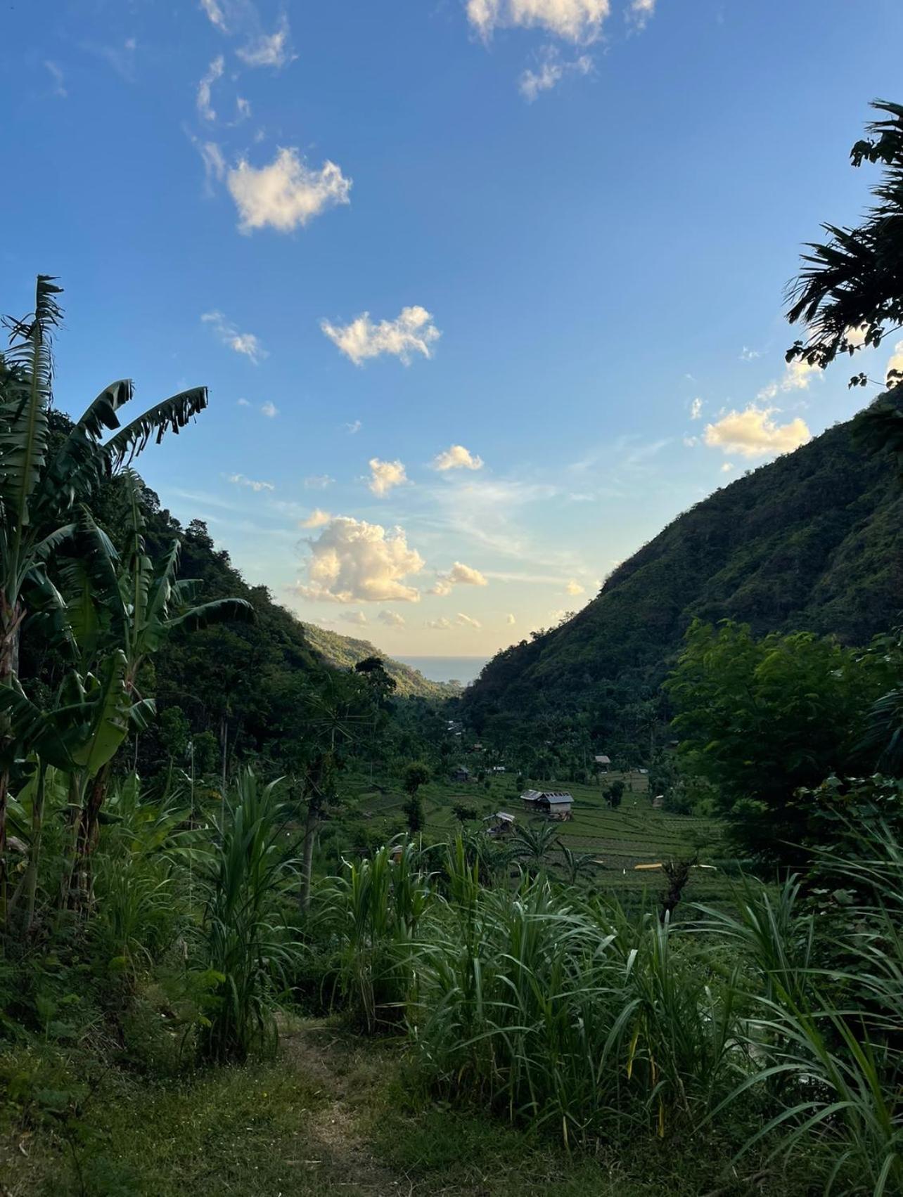 아메드 Tropical Habitat Bali 빌라 외부 사진