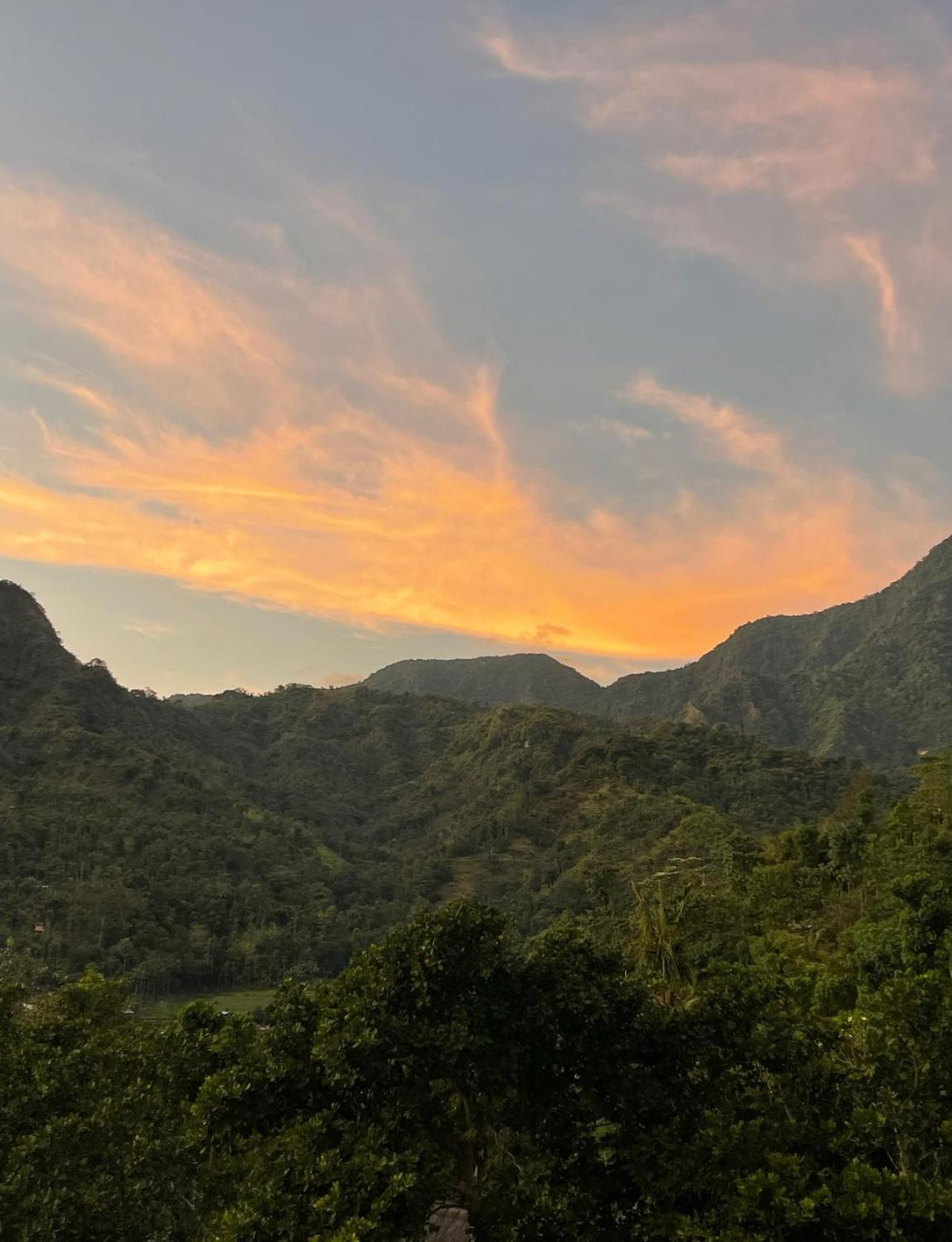 아메드 Tropical Habitat Bali 빌라 외부 사진