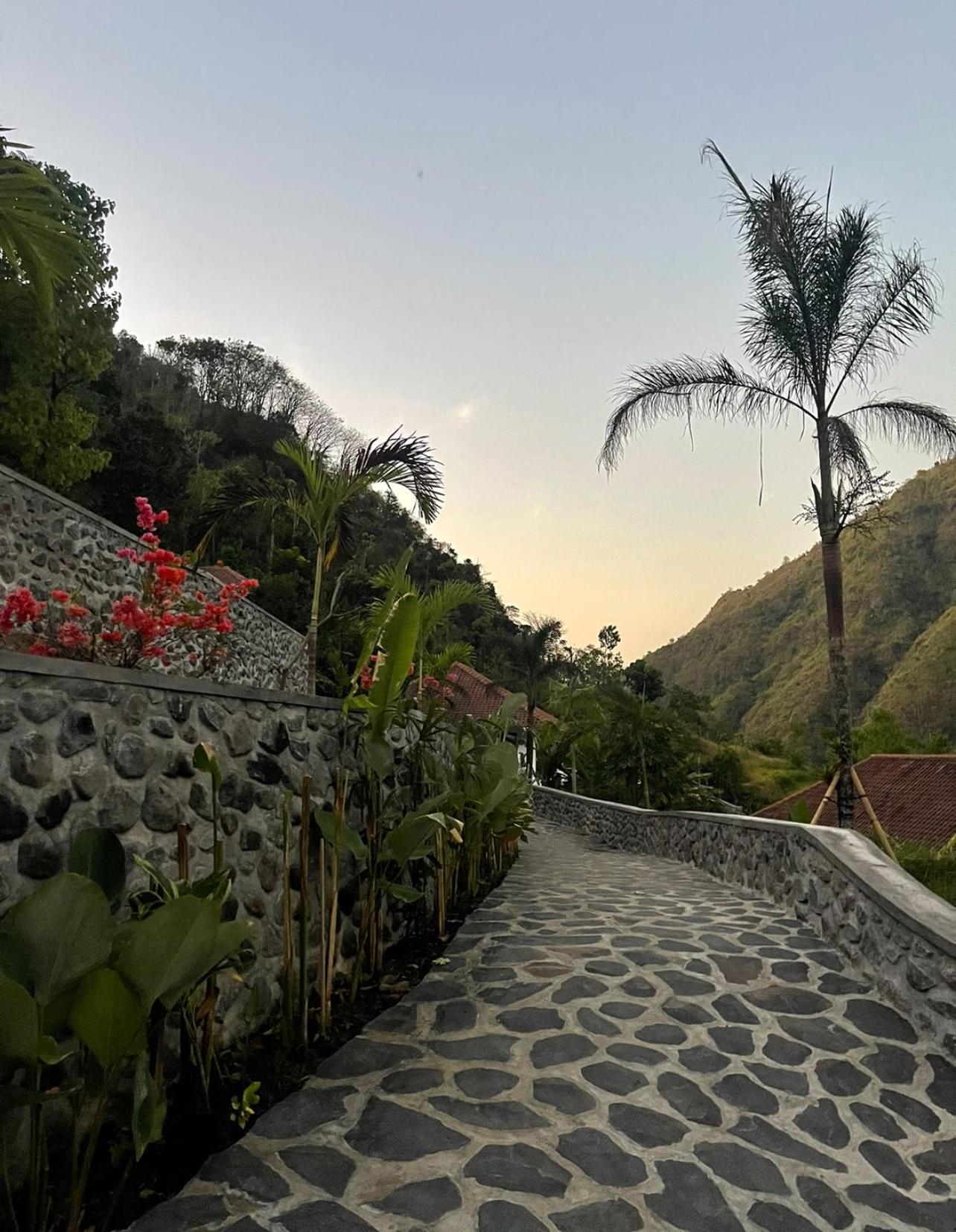아메드 Tropical Habitat Bali 빌라 외부 사진