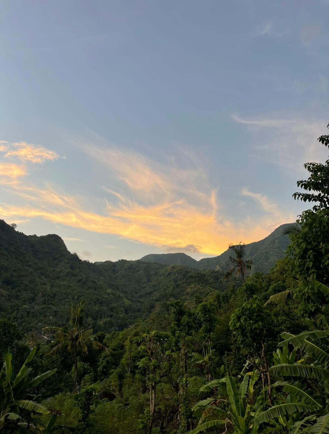 아메드 Tropical Habitat Bali 빌라 외부 사진