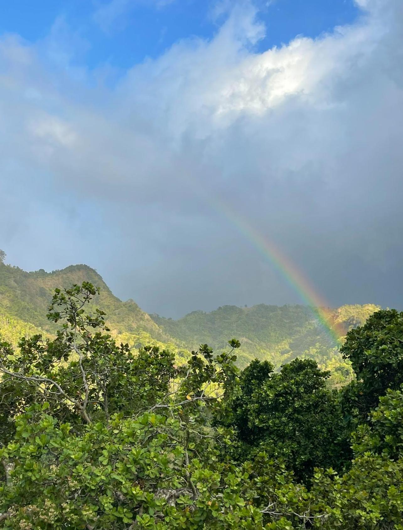 아메드 Tropical Habitat Bali 빌라 외부 사진