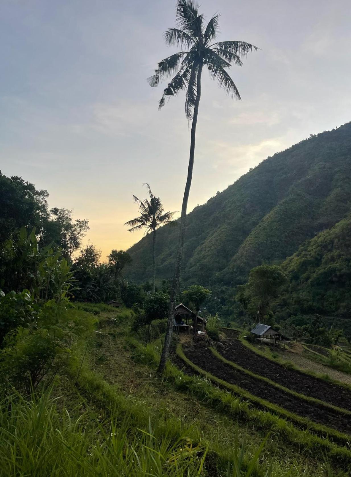 아메드 Tropical Habitat Bali 빌라 외부 사진