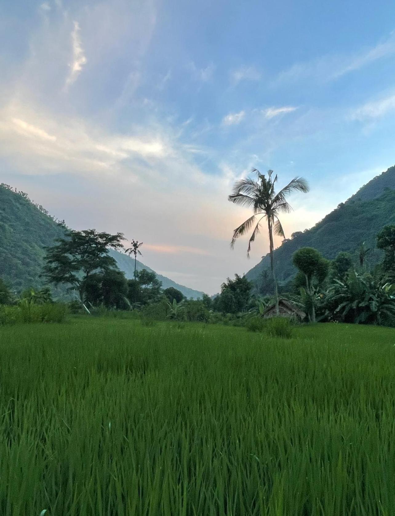 아메드 Tropical Habitat Bali 빌라 외부 사진