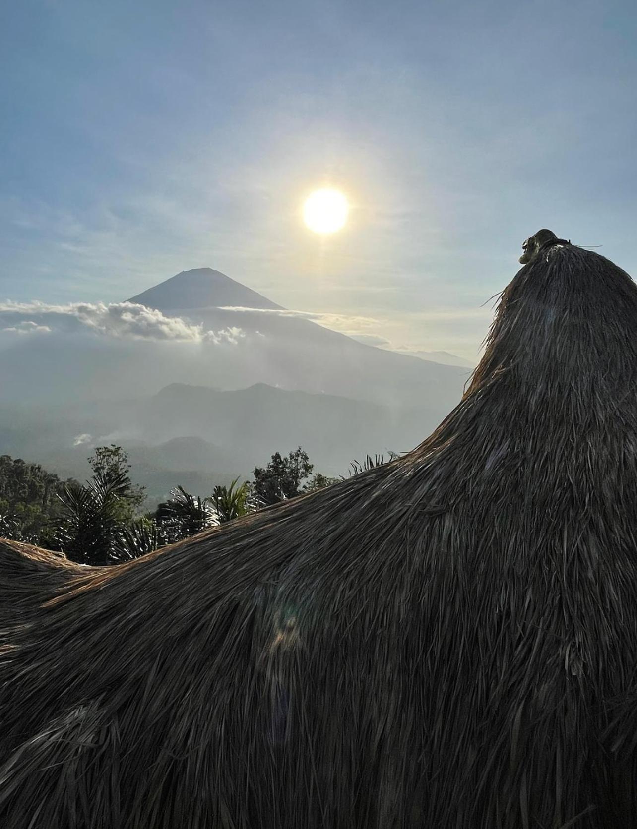 아메드 Tropical Habitat Bali 빌라 외부 사진