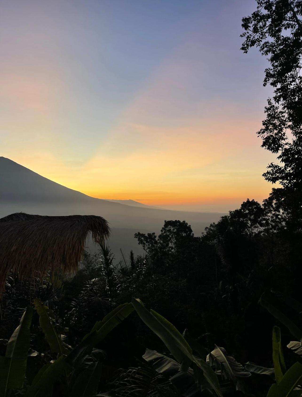 아메드 Tropical Habitat Bali 빌라 외부 사진